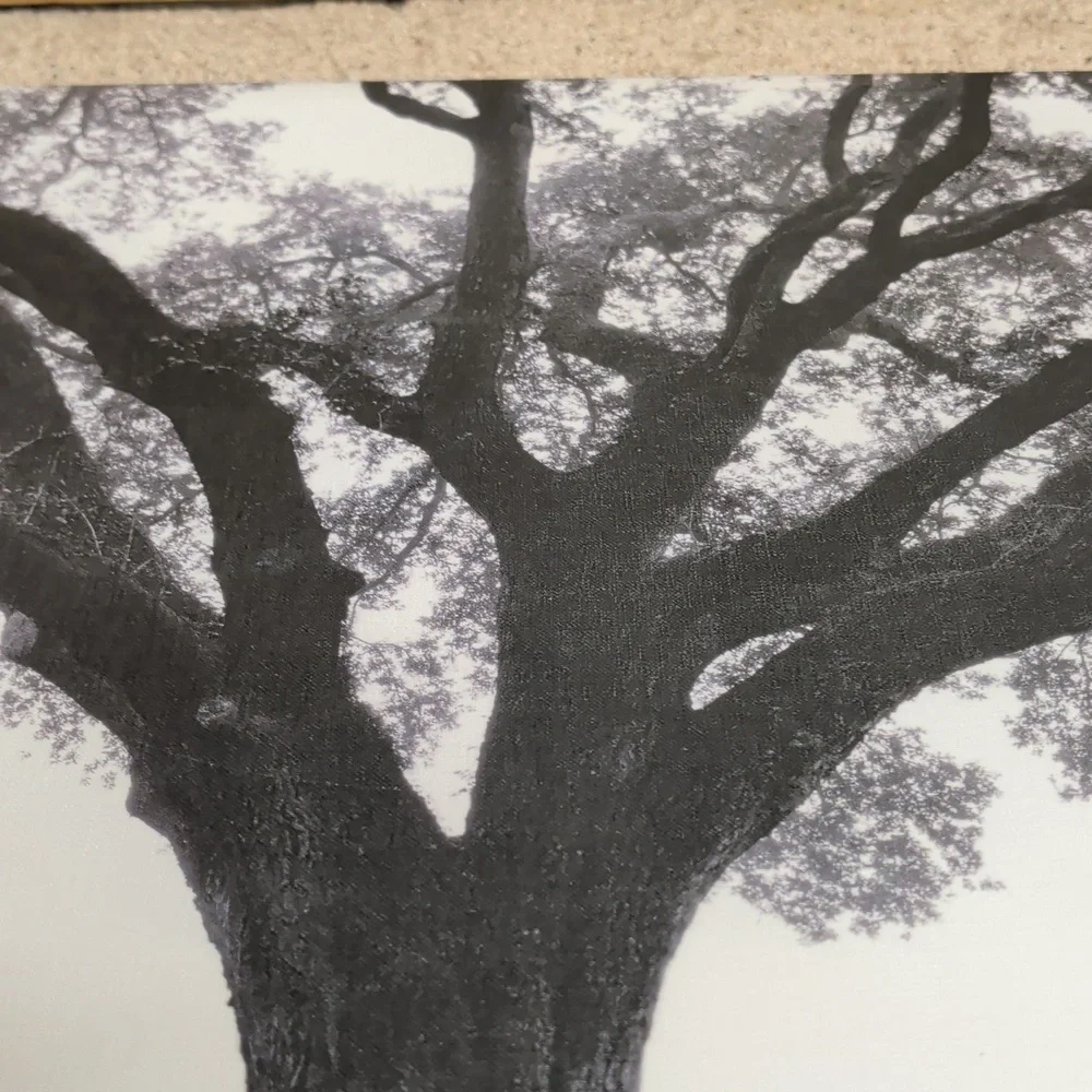 Tree of Life Black & White Photo 23.5 By 23.5 Stretched Canvas Art - Picture 3 of 10